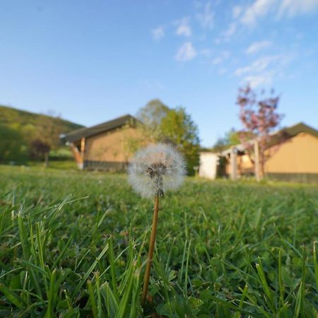 Safaritent Op Camping Berkel Bockholtz Екстериор снимка