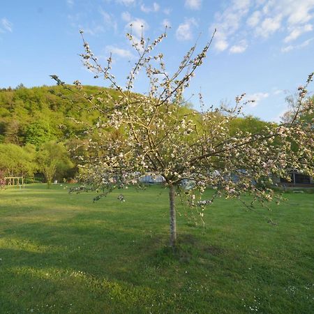 Safaritent Op Camping Berkel Bockholtz Екстериор снимка
